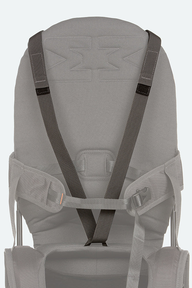 Variant: Shoulder strap